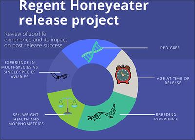 Born to Be Wild: Evaluating the Zoo-Based Regent Honeyeater Breed for Release Program to Optimise Individual Success and Conservation Outcomes in the Wild